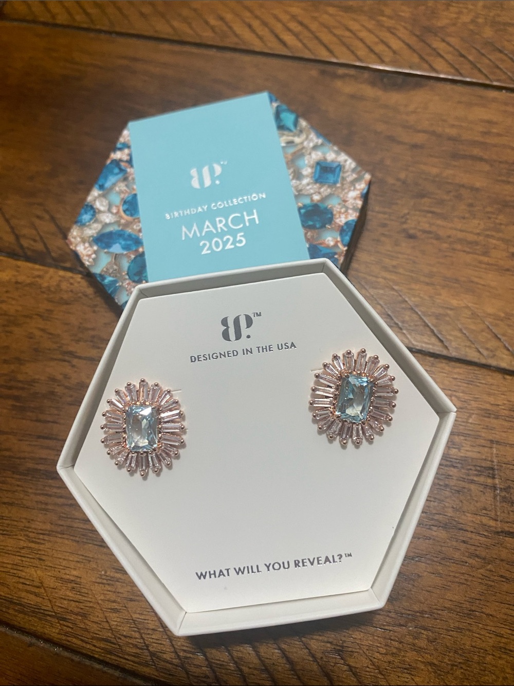 Bomb Party Birthday Collection March 2025 Earrings - Aquamarine - Rose Gold